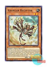 画像: 英語版 CIBR-EN019 Krawler Receptor クローラー・レセプター (ノーマル) 1st Edition