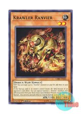 画像: 英語版 CIBR-EN020 Krawler Ranvier クローラー・ランヴィエ (ノーマル) 1st Edition