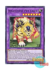 画像: 英語版 CIBR-EN094 Amazoness Pet Liger アマゾネスペット虎獅子 (ノーマル) 1st Edition