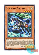 画像: 英語版 EXFO-EN003 Striping Partner ストライピング・パートナー (ノーマル) 1st Edition