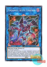 画像: 英語版 EXFO-EN045 Tindangle Acute Cerberus ティンダングル・アキュート・ケルベロス (ノーマル) 1st Edition