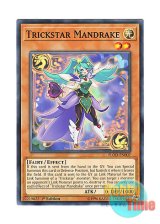 画像: 英語版 FLOD-EN007 Trickstar Mandrake トリックスター・マンドレイク (ノーマル) 1st Edition