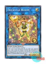 画像: 英語版 FLOD-EN039 Trickstar Bloom トリックスター・ブルム (ノーマル) 1st Edition