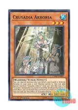 画像: 英語版 CYHO-EN007 Crusadia Arboria 神樹のパラディオン (ノーマル) 1st Edition