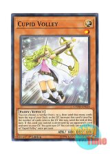 画像: 英語版 CYHO-EN024 Cupid Volley ハイ・キューピット (ノーマル) 1st Edition