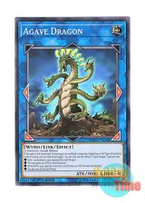 画像: 英語版 SOFU-EN048 Agave Dragon 竜絶蘭 (ノーマル) 1st Edition