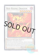 画像: 英語版 SAST-EN099 Red Rising Dragon レッド・ライジング・ドラゴン (ノーマル) 1st Edition