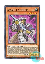 画像: 英語版 DANE-EN011 Assault Sentinel バスター・スナイパー (ノーマル) 1st Edition