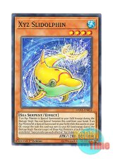 画像: 英語版 DANE-EN023 Xyz Slidolphin エクシーズ・スライドルフィン (ノーマル) 1st Edition