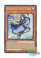 画像: 英語版 CHIM-EN004 Marincess Blue Tang 海晶乙女ブルータン (シークレットレア) 1st Edition