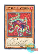 画像: 英語版 CHIM-EN020 Evoltile Megachirella エヴォルド・メガキレラ (ノーマル) 1st Edition