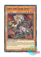 画像: 英語版 CHIM-EN027 Luna the Dark Spirit 闇の精霊 ルーナ (ノーマル) 1st Edition