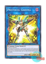 画像: 英語版 CHIM-EN038 Protocol Gardna プロトコル・ガードナー (ノーマル) 1st Edition