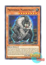 画像: 英語版 CHIM-EN081 Primineral Mandstrong 泥岩の霊長－マンドストロング (ノーマル) 1st Edition