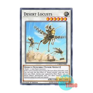 画像: 英語版 CHIM-EN082 Desert Locusts 砂漠の飛蝗賊 (ノーマル) 1st Edition