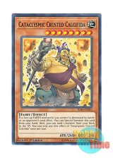 画像: 英語版 IGAS-EN025 Cataclysmic Crusted Calcifida 楽天禍カルクラグラ (ノーマル) 1st Edition