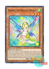 画像: 英語版 IGAS-EN082 Feedran, the Winds of Mischief いたずら風のフィードラン (ノーマル) 1st Edition