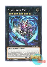 画像: 英語版 IGAS-EN083 Nine-Lives Cat 九魂猫 (ノーマル) 1st Edition