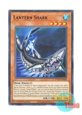 画像: 英語版 ETCO-EN018 Lantern Shark ランタン・シャーク (ノーマル) 1st Edition