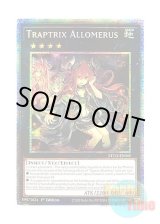 画像: 英語版 ETCO-EN045 Traptrix Allomerus アロメルスの蟲惑魔 (スターライトレア) 1st Edition