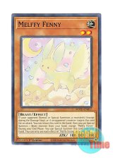 画像: 英語版 ROTD-EN017 Melffy Fenny メルフィー・フェニィ (ノーマル) 1st Edition