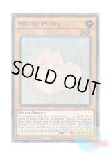 画像: 英語版 ROTD-EN019 Melffy Puppy メルフィー・パピィ (スーパーレア) 1st Edition