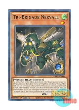 画像: 英語版 PHRA-EN006 Tri-Brigade Nervall 鉄獣戦線 ナーベル (ノーマル) 1st Edition