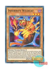 画像: 英語版 PHRA-EN017 Infernity Wildcat インフェルニティ・ワイルドキャット (ノーマル) 1st Edition