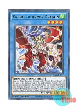 画像: 英語版 BLVO-EN037 Knight of Armor Dragon 鎧竜の聖騎士 (ノーマル) 1st Edition