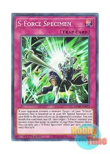 画像: 英語版 BLVO-EN071 S-Force Specimen S－Force スぺシメン (ノーマル) 1st Edition