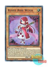 画像: 英語版 LIOV-EN010 Ruddy Rose Witch 紅蓮薔薇の魔女 (スーパーレア) 1st Edition