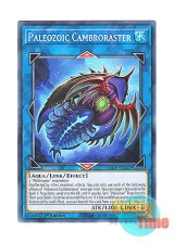 画像: 英語版 LIOV-EN047 Paleozoic Cambroraster バージェストマ・カンブロラスター (ノーマル) 1st Edition