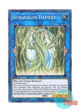 画像: 英語版 LIOV-EN097 Sunavalon Daphne 聖天樹の月桂精 (ノーマル) 1st Edition