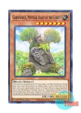 画像: 英語版 DAMA-EN022 Carpiponica, Mystical Beast of the Forest 森の聖獣 カルピポニカ (ノーマル) 1st Edition