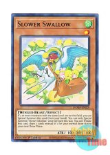 画像: 英語版 DAMA-EN029 Slower Swallow スロワースワロー (ノーマル) 1st Edition