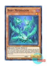 画像: 英語版 DAMA-EN081 Baby Mudragon ドロゴン・ベビー (ノーマル) 1st Edition