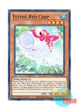 画像: 英語版 DAMA-EN093 Flying Red Carp 飛鯉 (ノーマル) 1st Edition