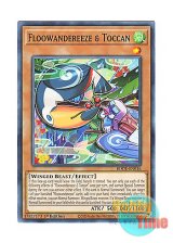 画像: 英語版 BODE-EN016 Floowandereeze & Toccan ふわんだりぃず×とっかん (ノーマル) 1st Edition