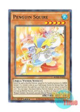 画像: 英語版 BODE-EN024 Penguin Squire ペンギン勇士 (ノーマル) 1st Edition