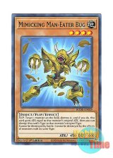 画像: 英語版 BODE-EN029 Mimicking Man-Eater Bug 擬態する人喰い虫 (ノーマル) 1st Edition