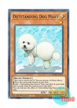 画像: 英語版 BODE-EN035 Outstanding Dog Mary 迷犬メリー (ノーマル) 1st Edition