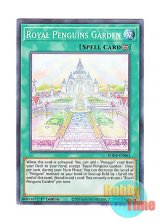 画像: 英語版 BODE-EN063 Royal Penguins Garden ロイヤル・ペンギンズ・ガーデン (ノーマル) 1st Edition