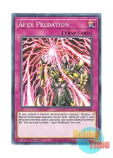 画像: 英語版 BODE-EN084 Apex Predation 絶対なる捕食 (ノーマル) 1st Edition