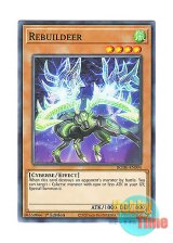 画像: 英語版 BODE-EN094 Rebuildeer リビルディア (ノーマル) 1st Edition