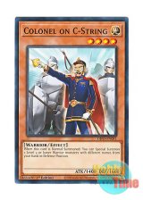 画像: 英語版 DIFO-EN081 Colonel on C-String C戦場の指揮官 コロネル (ノーマル) 1st Edition