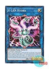 画像: 英語版 DIFO-EN099 V-LAN Hydra V－LAN ヒドラ (ノーマル) 1st Edition