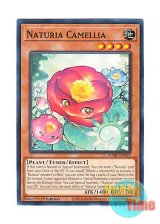 画像: 英語版 DABL-EN021 Naturia Camellia ナチュル・カメリア (ノーマル) 1st Edition