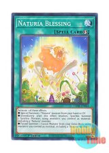 画像: 英語版 DABL-EN064 Naturia Blessing ナチュルの春風 (ノーマル) 1st Edition