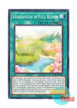 画像: 英語版 DABL-EN066 Vernusylph in Full Bloom 春化精の花盛 (ノーマル) 1st Edition