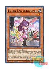 画像: 英語版 CYAC-EN032 Bunny Ear Enthusiast ウサミミ導師 (ノーマル) 1st Edition